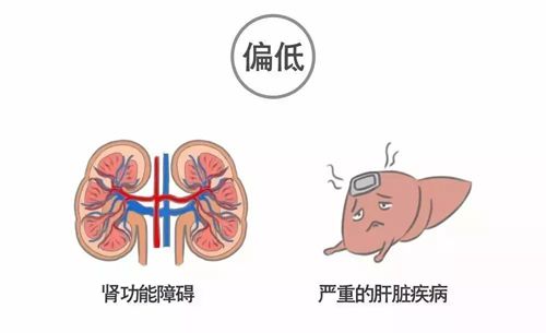 肝功能检查指标有哪些