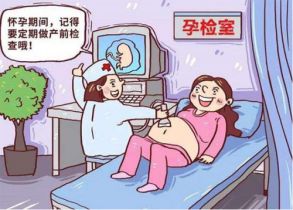 产检具体检查哪些项目