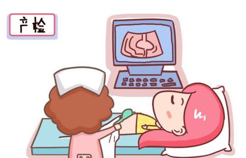孕期检查项目一览表