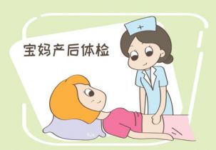 产后全身检查大概多少钱?