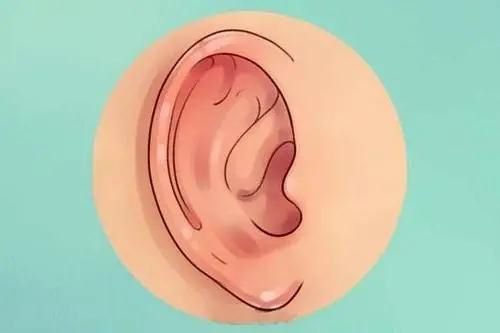 耳朵主要做什么检查？