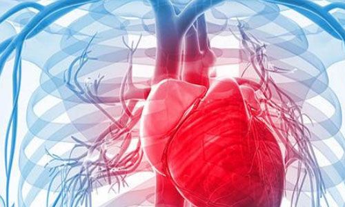 心血管疾病常见的症状？心血管怎样预防？